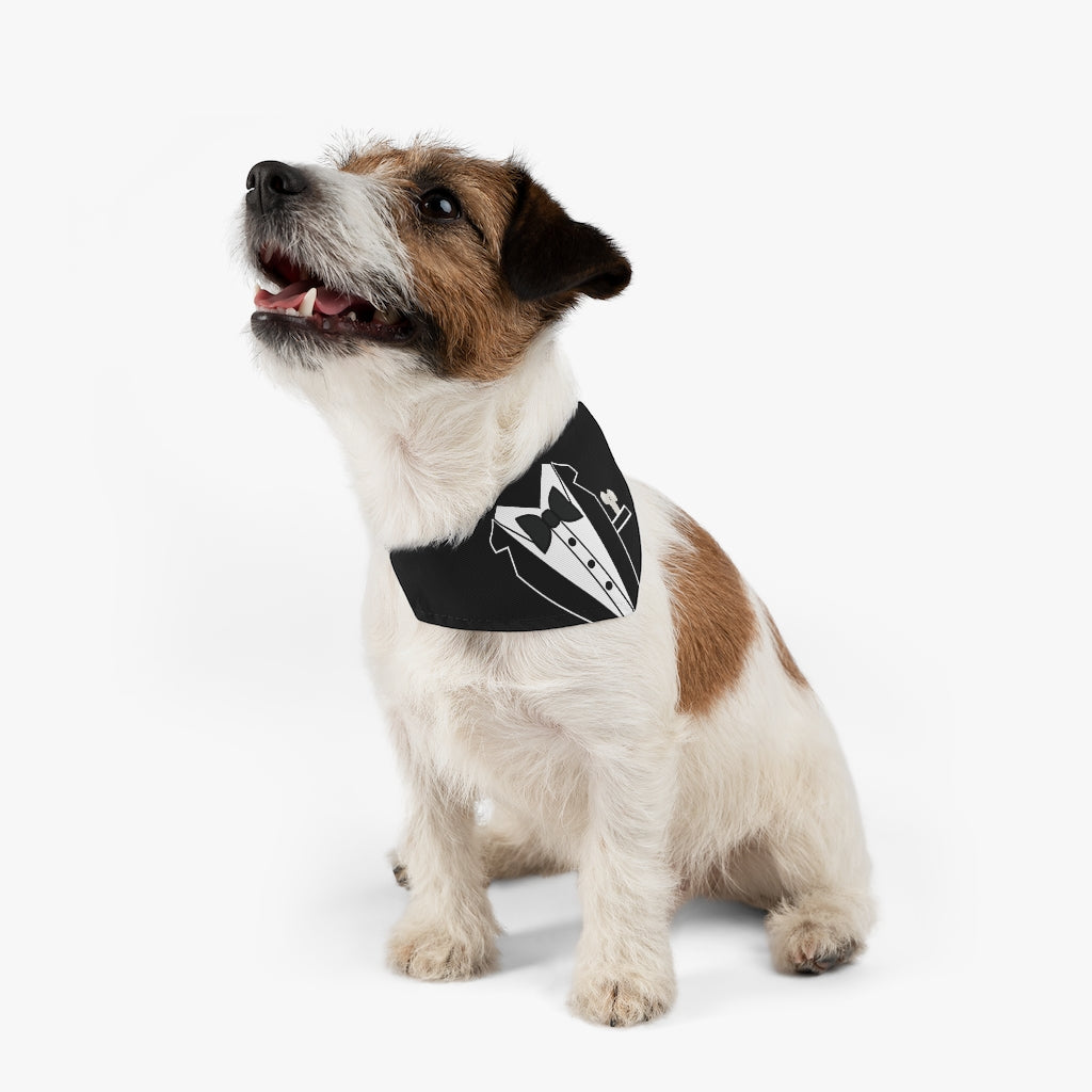 Tuxedo // Black - Pet Bandana Collar